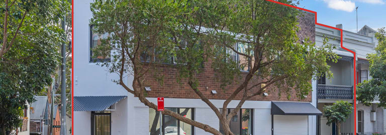 Offices commercial property for sale at 239 & 241-243 Abercrombie Street Darlington NSW 2008
