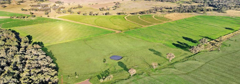 Rural / Farming commercial property for sale at 2482 Kings Plains Road Sapphire NSW 2360