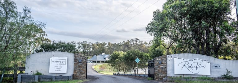 Rural / Farming commercial property for sale at 257 & 273 Sweetwater Road Belford NSW 2335