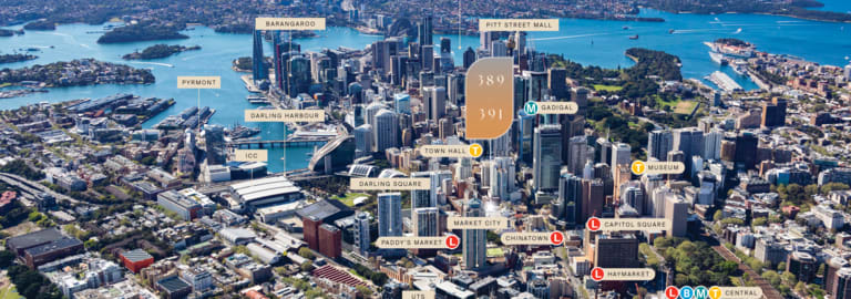 Shop & Retail commercial property for sale at Whole Building/389-391 Sussex Street Haymarket NSW 2000