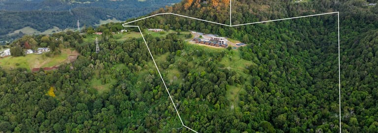 Hotel, Motel, Pub & Leisure commercial property for sale at 660 Trees Road Tallebudgera Valley QLD 4228