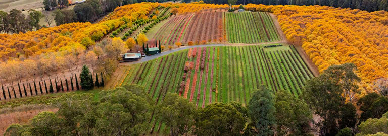 Rural / Farming commercial property for sale at 227 Mount Stanley Road Stanley VIC 3747