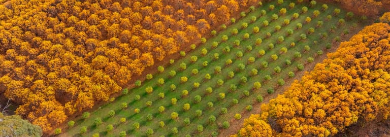 Rural / Farming commercial property for sale at 227 Mount Stanley Road Stanley VIC 3747