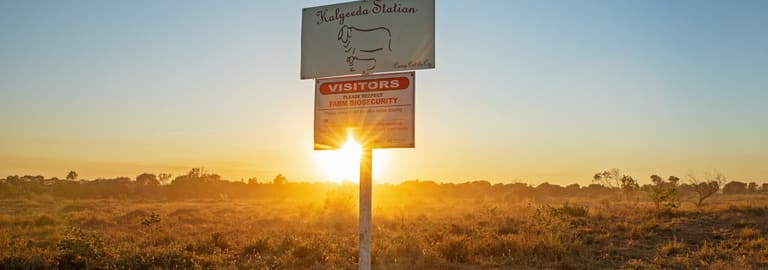 Rural / Farming commercial property for sale at 0 Kalyeeda Station Derby WA 6728