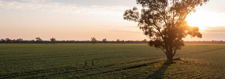 Rural / Farming commercial property for sale at 1970 Lower River Road Aratula NSW 2714