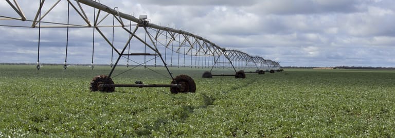 Rural / Farming commercial property for sale at 1970 Lower River Road Aratula NSW 2714