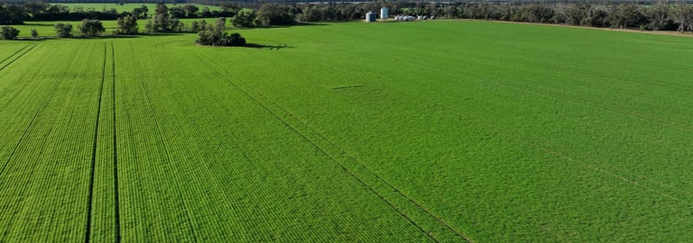 Rural / Farming commercial property for sale at 207 Wilgaroi Road Bellata NSW 2397