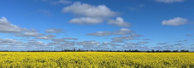 Rural / Farming commercial property for sale at 207 Wilgaroi Road Bellata NSW 2397