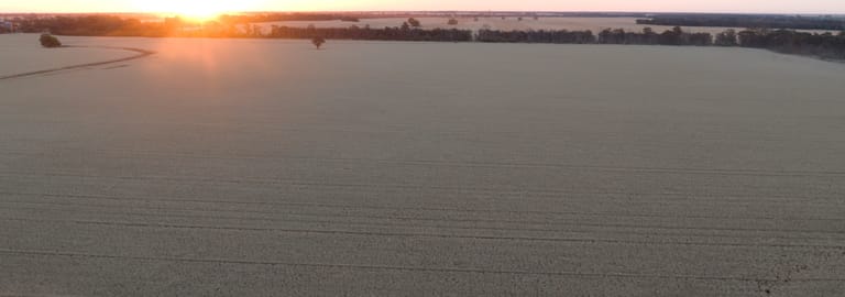 Rural / Farming commercial property for sale at 207 Wilgaroi Road Bellata NSW 2397