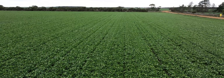 Rural / Farming commercial property for sale at 515 Dalyup Road Dalyup WA 6450