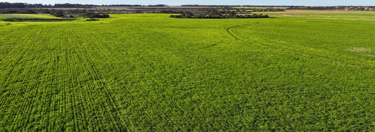 Rural / Farming commercial property for sale at 515 Dalyup Road Dalyup WA 6450