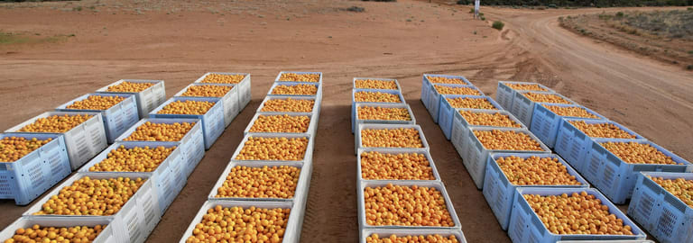 Rural / Farming commercial property for sale at 290 Sculthorpe Road Nangiloc VIC 3494