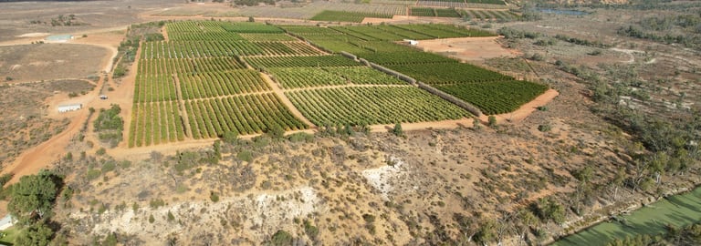 Rural / Farming commercial property for sale at 290 Sculthorpe Road Nangiloc VIC 3494