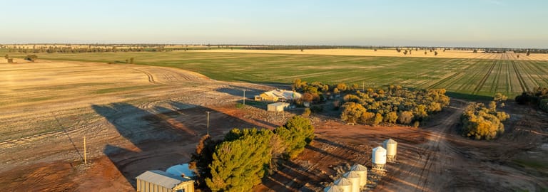 Rural / Farming commercial property for sale at 631 Barragunda Road Urana NSW 2645