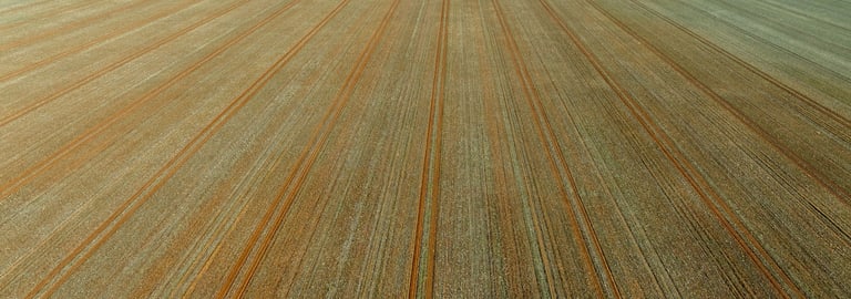 Rural / Farming commercial property for sale at 631 Barragunda Road Urana NSW 2645