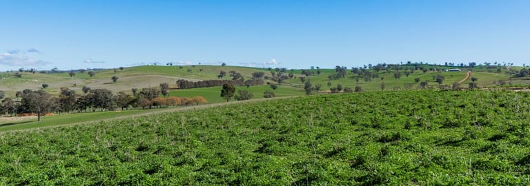 Rural / Farming commercial property for sale at 670 Leahy Road Harefield NSW 2650