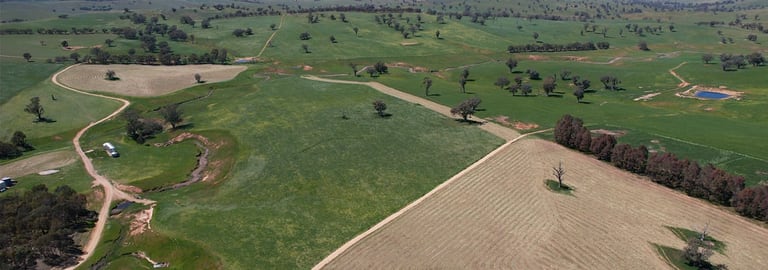 Rural / Farming commercial property for sale at 670 Leahy Road Wagga Wagga NSW 2650