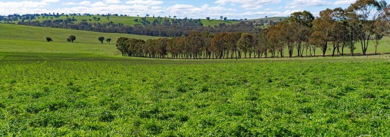 Rural / Farming commercial property for sale at 670 Leahy Road Harefield NSW 2650