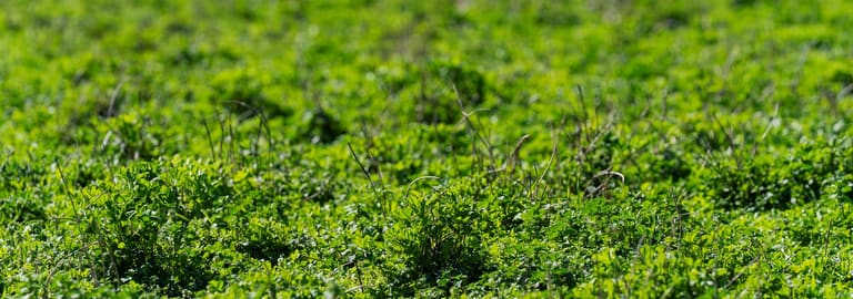 Rural / Farming commercial property for sale at 670 Leahy Road Harefield NSW 2650