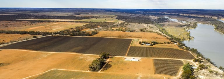 Rural / Farming commercial property for sale at 14921 & 14985 Sturt Highway Wigley Flat SA 5330