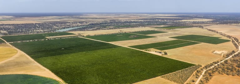 Rural / Farming commercial property for sale at 14921 & 14985 Sturt Highway Wigley Flat SA 5330