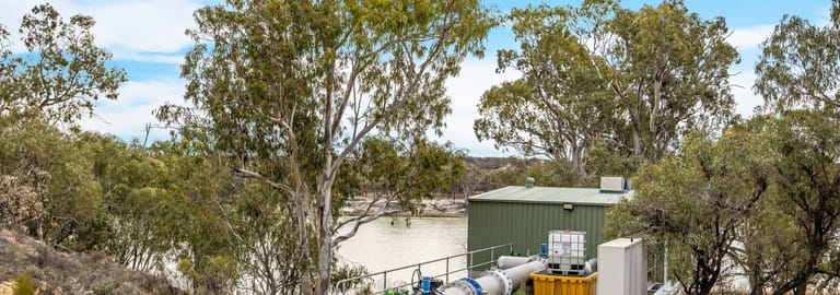 Rural / Farming commercial property for sale at 14921 & 14985 Sturt Highway Wigley Flat SA 5330