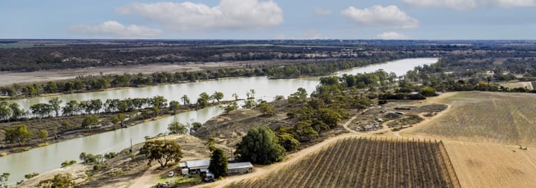 Rural / Farming commercial property for sale at 14921 & 14985 Sturt Highway Wigley Flat SA 5330