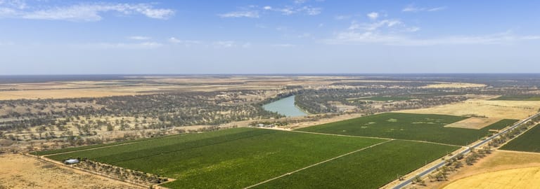 Rural / Farming commercial property for sale at 14921 & 14985 Sturt Highway Wigley Flat SA 5330