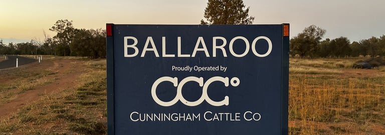 Rural / Farming commercial property for sale at 3531 Goodar Road Goodar QLD 4390