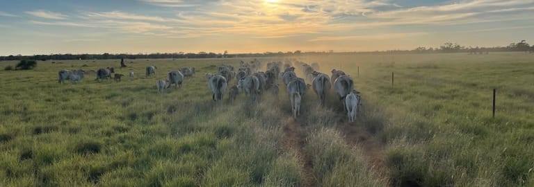 Rural / Farming commercial property for sale at 3531 Goodar Road Goodar QLD 4390