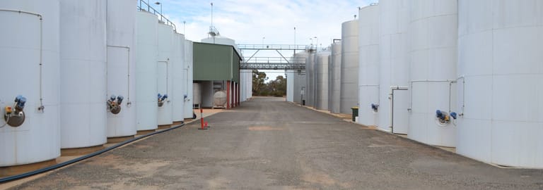 Rural / Farming commercial property for sale at 214 Nixon Road Monash SA 5342
