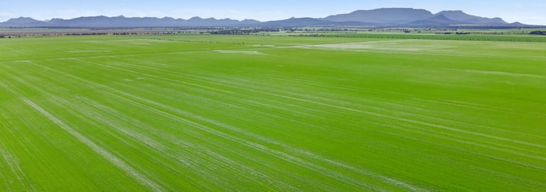Rural / Farming commercial property for sale at 1077 Yarram Gap Road Willaura VIC 3379