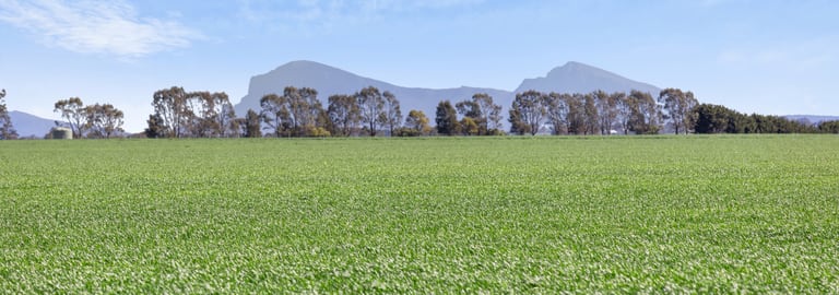 Rural / Farming commercial property for sale at 1077 Yarram Gap Road Willaura VIC 3379