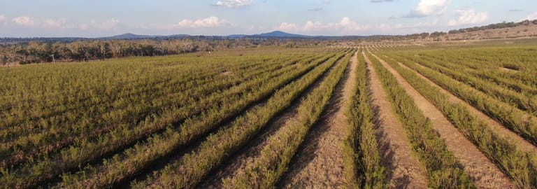 Rural / Farming commercial property for sale at 12605 Eidsvold Theodore Road Camboon QLD 4719