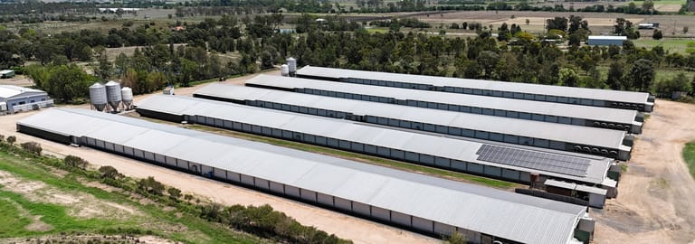 Rural / Farming commercial property for sale at 3 Steffens Road Forest Hill QLD 4342