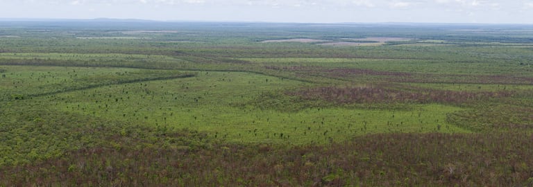 Rural / Farming commercial property for sale at Douglas-daly NT 0822