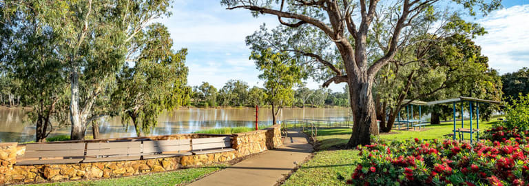 Hotel, Motel, Pub & Leisure commercial property for sale at 20 Henry Street St George QLD 4487