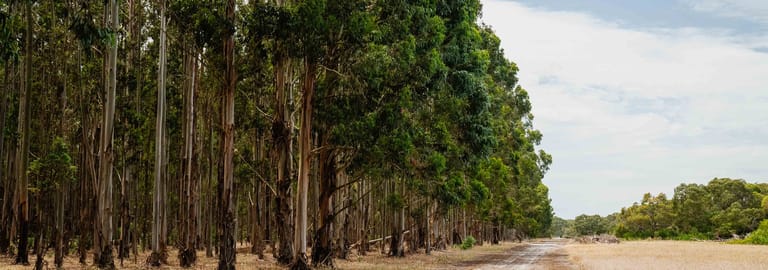 Rural / Farming commercial property for sale at Wattle Range SA 5280