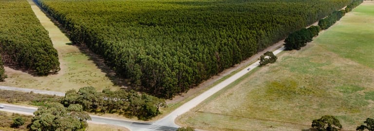 Rural / Farming commercial property for sale at Wattle Range SA 5280