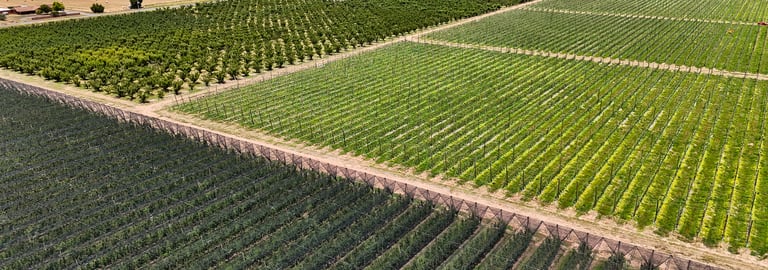 Rural / Farming commercial property for sale at Orrvale VIC 3631