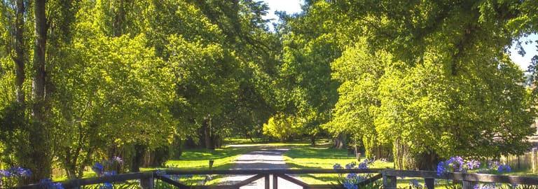 Rural / Farming commercial property for sale at 7300 Illawarra Highway Sutton Forest NSW 2577