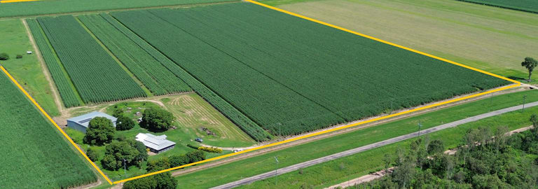 Rural / Farming commercial property for sale at 6510 Ayr Dalbeg Rd Millaroo QLD 4807 Rural / Farming commercial property for sale at 6510 Ayr Dalbeg Rd Millaroo QLD 4807