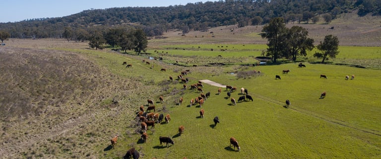 Rural / Farming commercial property for sale at Paradise Creek Elsmore Road Inverell NSW 2360