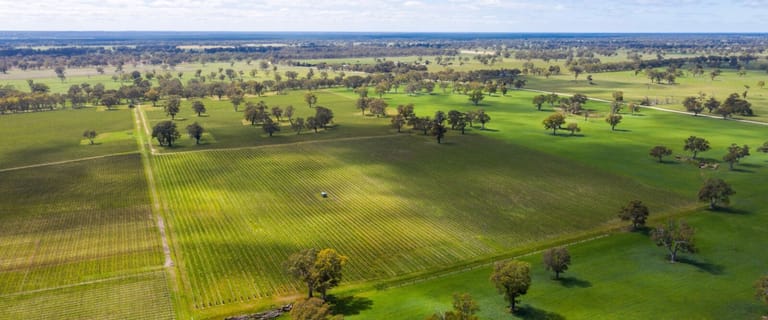 Rural / Farming commercial property for sale at Lot 10 McLean Road Coonawarra SA 5263