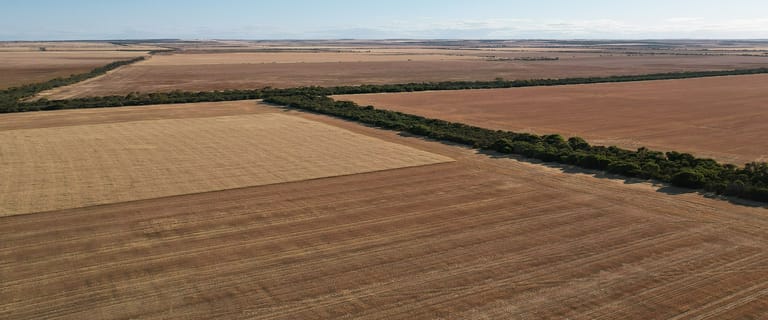 Rural / Farming commercial property for sale at Newdegate WA 6355