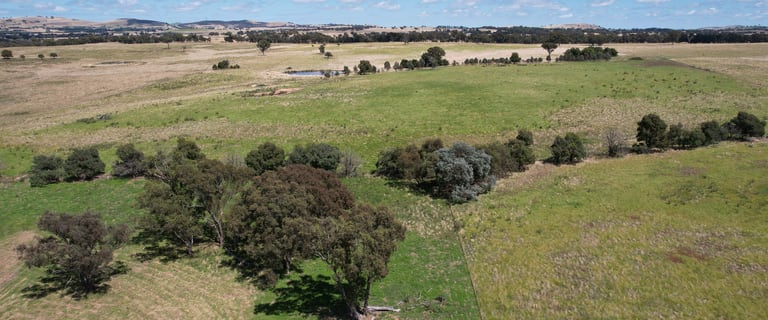 Rural / Farming commercial property for sale at 131 Red Hill Road Bowning NSW 2582