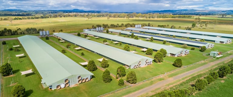 Rural / Farming commercial property for sale at 427 Bromelton House Road Gleneagle QLD 4285