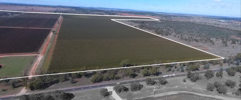 Rural / Farming commercial property for sale at 3990 Irrigation Way Widgelli NSW 2680