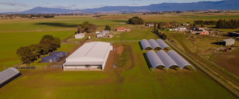 Rural / Farming commercial property for sale at TAS