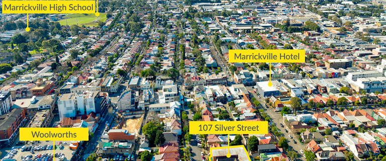 Shop & Retail commercial property for sale at 107 Silver Street Marrickville NSW 2204